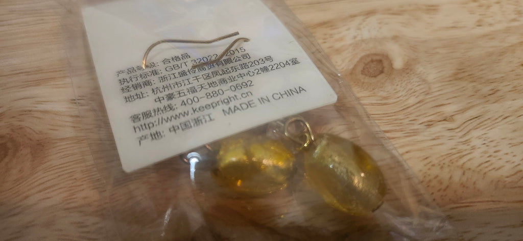 Lenle Encased Gold Dangle Earrings