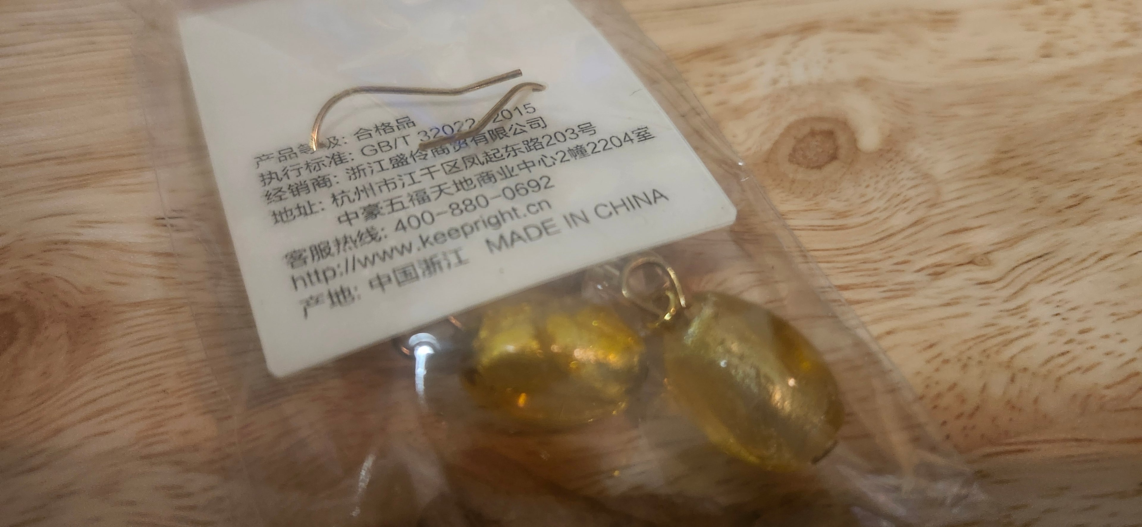 Lenle Encased Gold Dangle Earrings