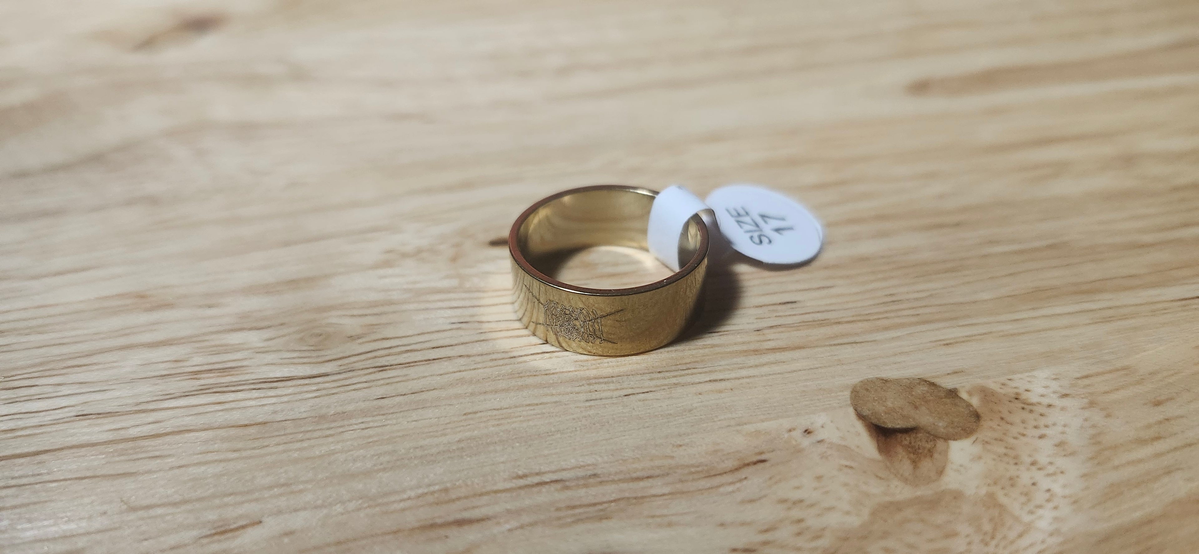 Nightspun Gold Stainless Steel Ring Size 17mm