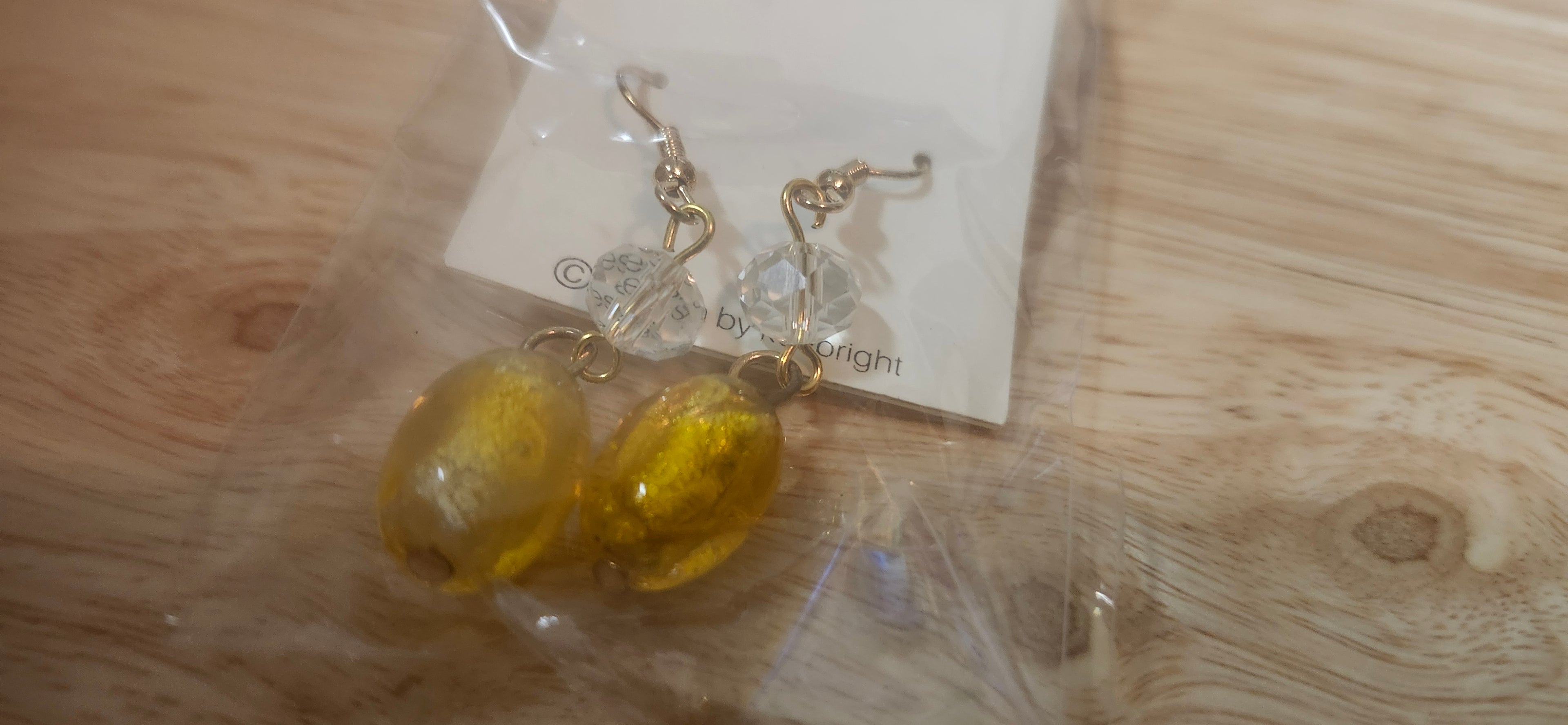 Lenle Encased Gold Dangle Earrings
