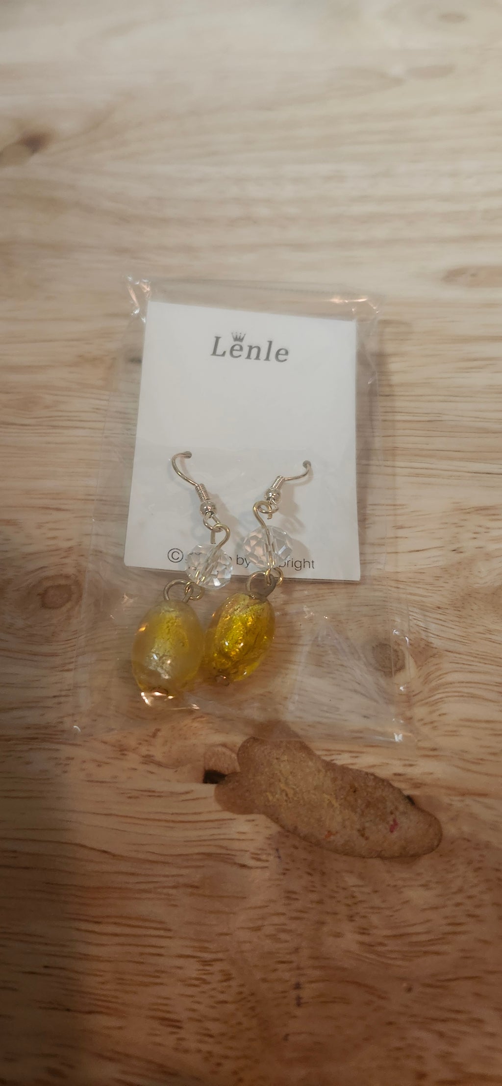 Lenle Encased Gold Dangle Earrings